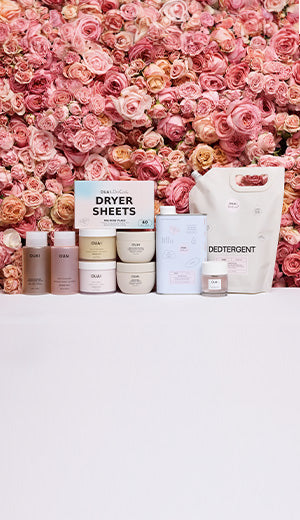Cleaning products including dryer sheets and detergent in front of a pink floral background