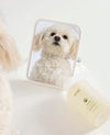 OUAI pet shampoo bottle beside a framed photo of a fluffy white dog.