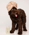 Chocolate Labradoodle wearing towel turban stands beside OUAI Fur Bebe pet shampoo bottle.