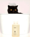 Black cat with soap suds sits in tub beside OUAI Fur Bébé Pet Shampoo.